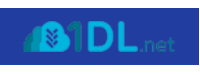 1DL.Net Premium 365 Days