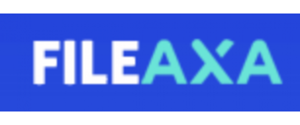 FileAxa Premium Key 395 Days